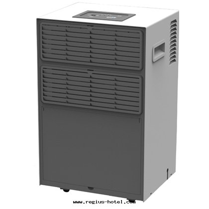 除湿(shī)機(jī)DH-362BW